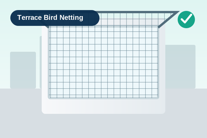 Terrace Bird Netting service in Jaipur